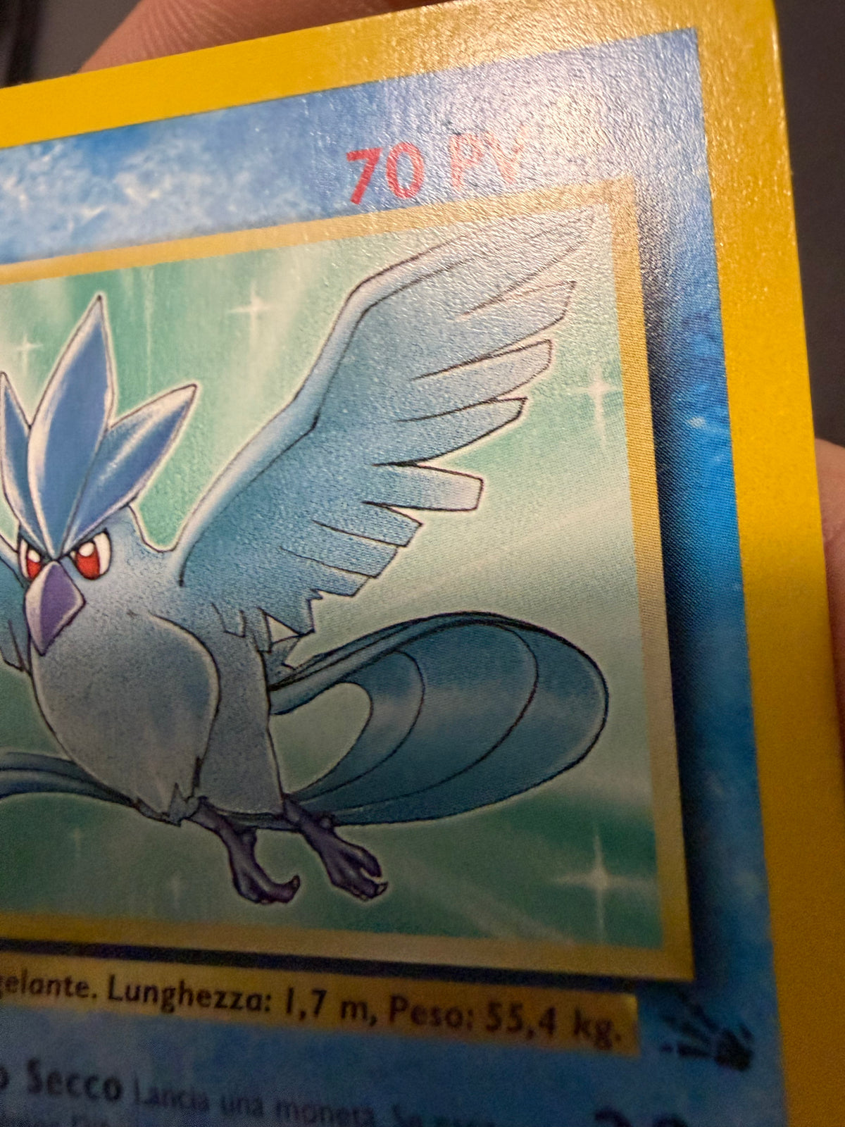 Articuno 17/62