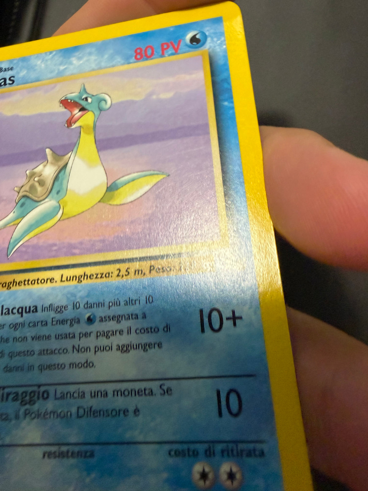 Lapras 25/62