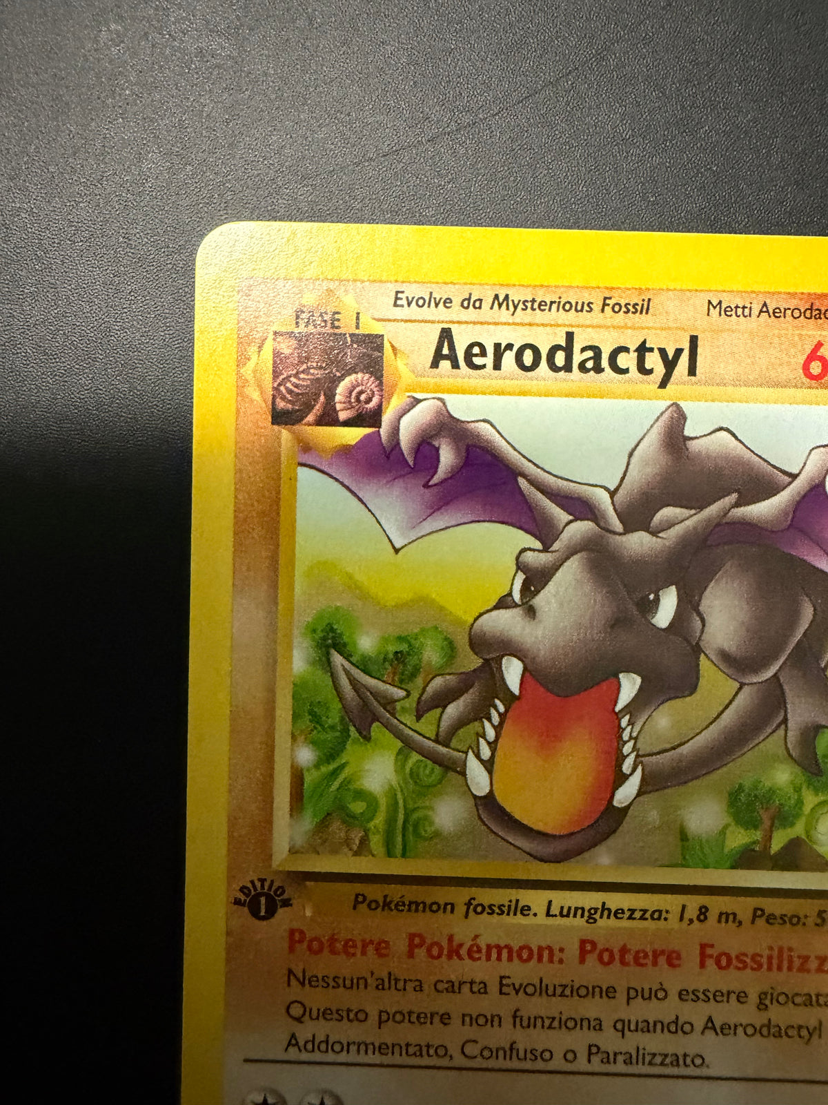 Aerodactyl 16/62 1º edizione
