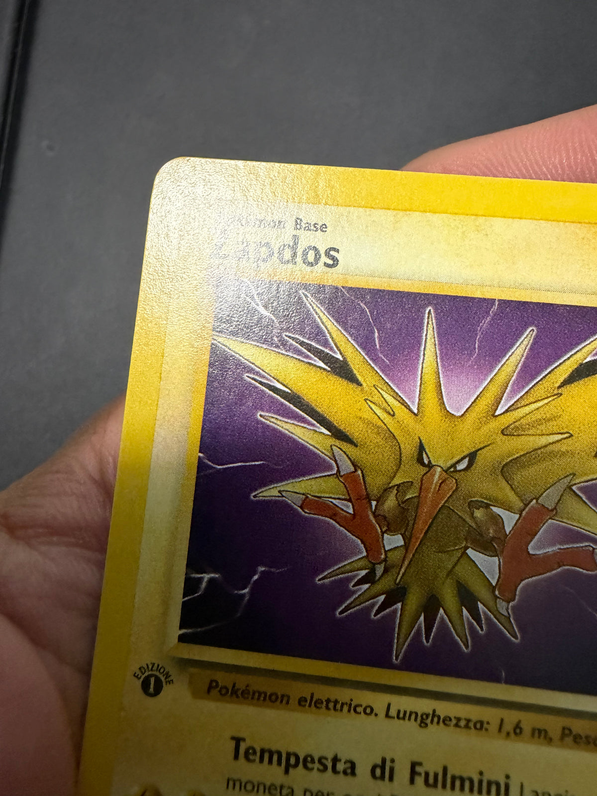 Zapdos 30/62 1º edizione