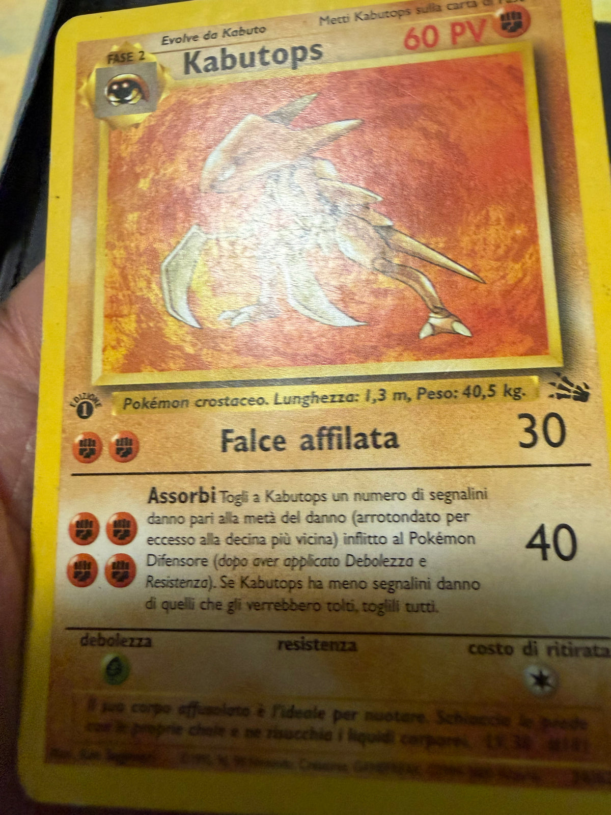 Kabutops 24/62 1º edizione